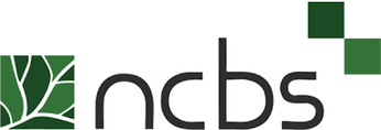 NCBS